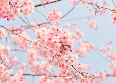 Spring into Secure Business: Carter Security's Seasonal Checklist